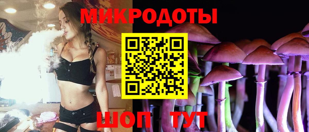 Каменка  Галлюциногенные грибы Cubensis  Вход с VPN  Галлюциногенные грибы Magic Shrooms 